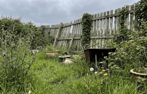 Complete Garden Redesign — before